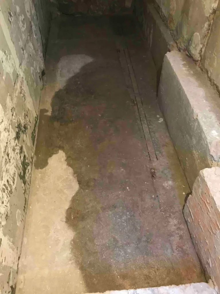 Будинок в с.Чайки, Київська область